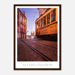 b0adfa44-d859-41d5-bf05-4d9b9858bc5b