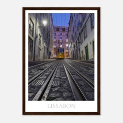 b11e9480-2bd3-4234-88fc-d80264c533c5