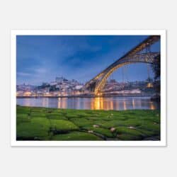 b22c2302-1f32-4f11-a06e-c0d175d15504