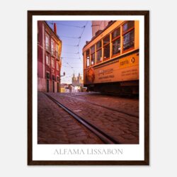 b44b8ec0-bf6e-418d-bb0f-2ebd66f28a95