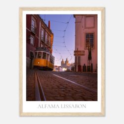 b647376c-361d-4b2c-9c7b-c404f82da3db