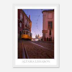 b6d87720-48f9-46a4-b719-41792fdbd1a5