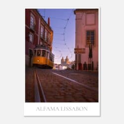 b8f57cef-1e6e-46e0-82fd-78493a6f1456