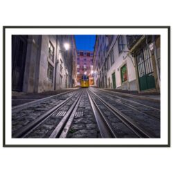 ba1697ce-8c65-45ac-8fa0-ce743862347c