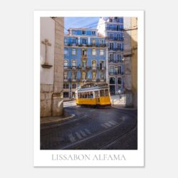 badd5ab8-d904-4611-baac-e98a9d90c3cd