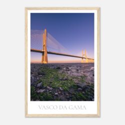 bd3f4763-5c17-421b-b783-6773569d3a15