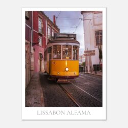 bed1086e-dec2-4eb0-9e1a-cf6ade65e08e