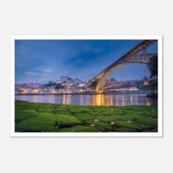 bffed214-bd26-4f52-a15c-a54279cb83ba