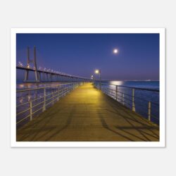 c0428900-4449-4309-9f5f-cc3dafdf062a