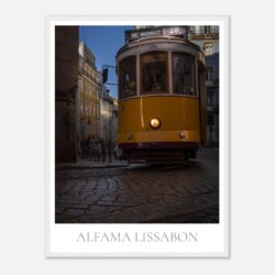 c2795847-135f-437a-9369-4450da7e1dfd