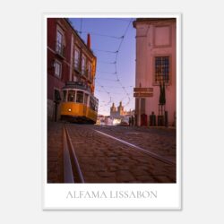 c2c0930a-9bcd-4898-a8bf-a0231a4b4c9f