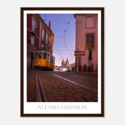 c2e81786-b41a-4d2c-9f51-104dd0468749