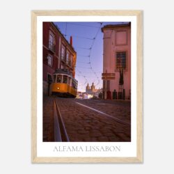 c340d1c8-1d62-4d82-9e71-23c85654a615