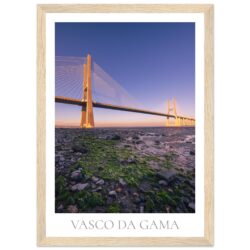 c356c27b-951a-420b-8622-f9e3a59088d6