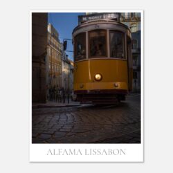 c5e6e849-788b-4d91-ae82-9f344d2991c6