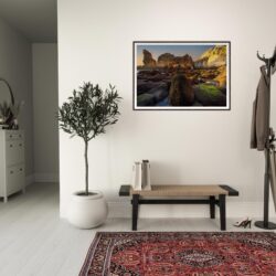 ca19a752-05ea-4fc7-8fce-cb4fc566bc8d