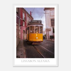 cb866364-b66a-466f-a95c-bc01d4aec5d5