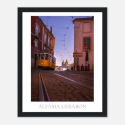 cb9190a2-534b-4047-ba5b-9c7181ba9063