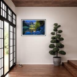 cbde14c5-8406-4712-990e-dd83966254ab