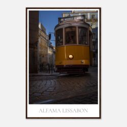 cd7bb5ee-84d4-4ba7-ab68-28ad4d7757e3