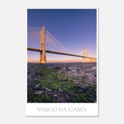 cea15ad0-6620-4654-b90d-4b882a86f99f