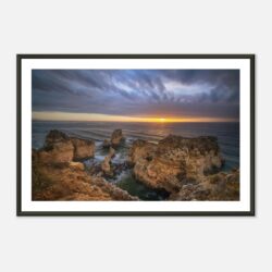 cfb116f5-0d59-4317-9c2c-7e635e09890c