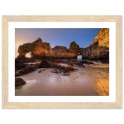 d236f48b-0ce4-438f-a9dc-29b93a1fe6a7