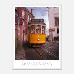 d2f86d1c-0001-417d-9e21-e1783157f50e