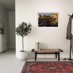 d371ceed-6f4d-42c7-afc5-d20561a09b78