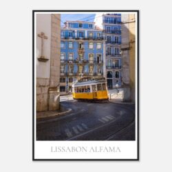 d3b1d896-64d9-4b2c-8666-255558a35124