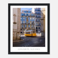 d3c8f589-b3b4-4fc6-bb12-9a49e1398894