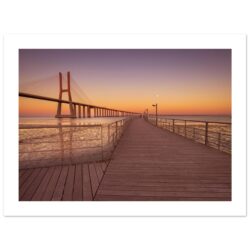 d47e211d-e1d4-47c6-82b0-2b231f920653