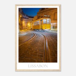 d5103f88-fbaa-4990-a3b6-5d40314e3d83