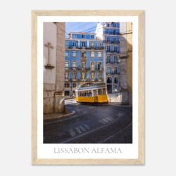 d55aac50-e6af-4e71-a10a-ab872107add7