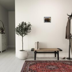 d5696f05-940a-446e-a617-b9e3de05c78a