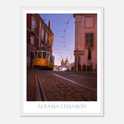 d5915c66-8f0a-456a-8687-7b835d7f0840