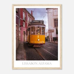 d6449618-e6fc-4447-aee9-3b206ad77744