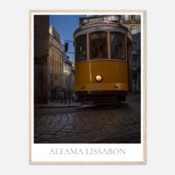 d6edc867-15f1-4c9d-afc4-1b261cf7b271