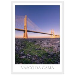 d8ae2db8-6cce-45eb-9d1c-c47195571314