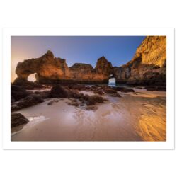 d920f44f-913f-4ae2-b65f-b894a50f26f2