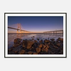 d968c862-5846-44e8-83d0-81fd3fa38345