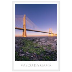 db3dd84d-19bc-4106-b500-c91a19810dba