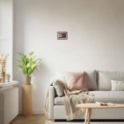 ddefe9c7-efa2-48e5-8597-2eab3b605260