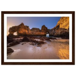 dfed02e3-41dd-47c7-85a2-46218e657e88