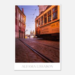 e060c714-15ee-4d4c-8ae8-3aa35597553c