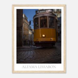 e117db66-7999-4288-8228-33d2c889c1a5