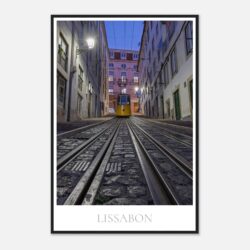 e18b01dc-2331-48b8-9aeb-c0b94021ed50