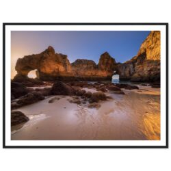 e285fb6e-318b-4440-b701-1db2dac64877