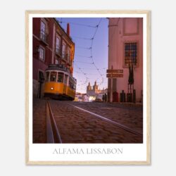 e50472c8-b731-443d-be46-d523a623fa25