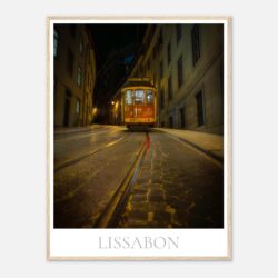 e5170c04-3b8e-49aa-9b40-1bd54bc5d1b3